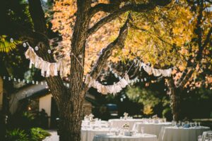 Guide to Festival Wedding Planning: Expert Tips